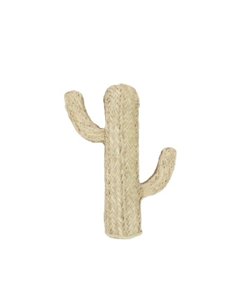 Cactus de esparto natural de varias medidas
