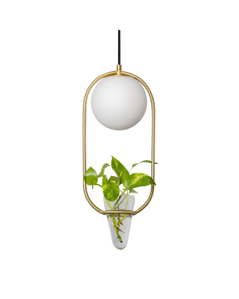 Plafonnier avec une structure métallique dorée, une sphère en verre translucide et un pot de fleur en verre transparent