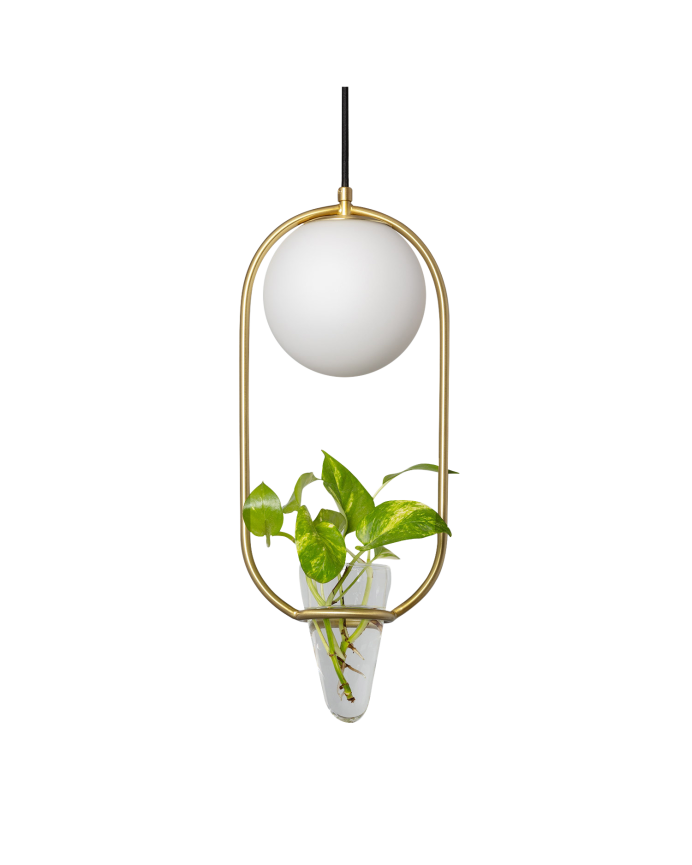 Plafonnier avec une structure métallique dorée, une sphère en verre translucide et un pot de fleur en verre transparent