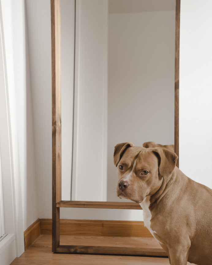 Miroir effet bois massif ton chêne foncé en différentes tailles