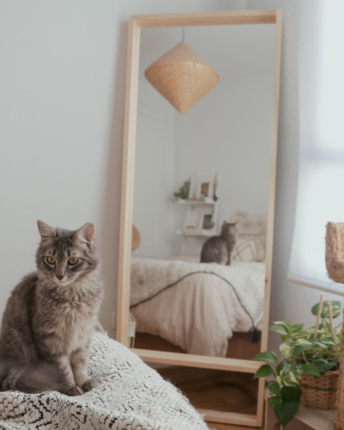 Miroir effet bois massif ton naturel en différentes tailles