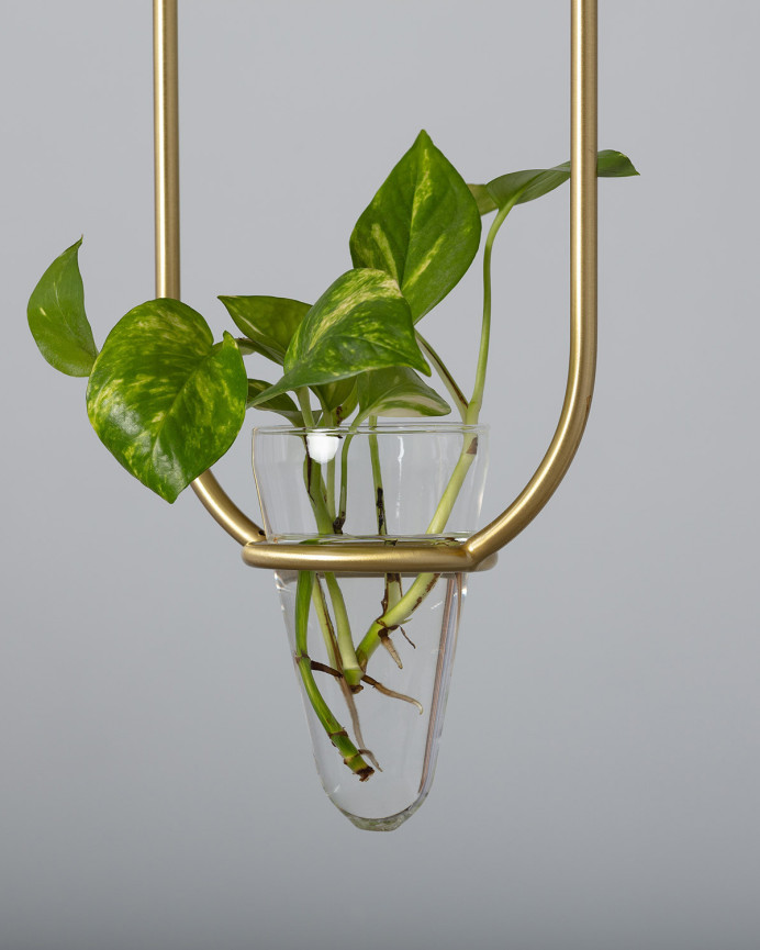 Plafonnier avec une structure métallique dorée, une sphère en verre translucide et un pot de fleur en verre transparent