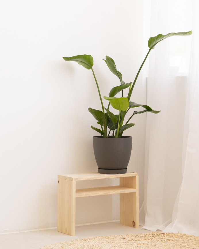 Table de chevet en bois massif ton naturel 50x36cm