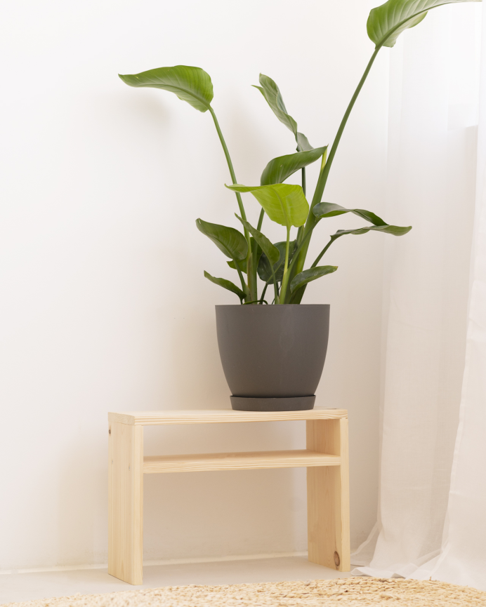 Pack de 2 tables de chevet en bois massif ton naturel de 50x36cm