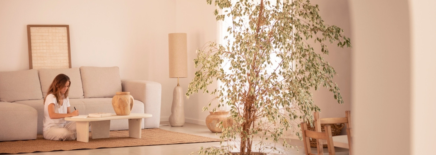 Lampes de sol